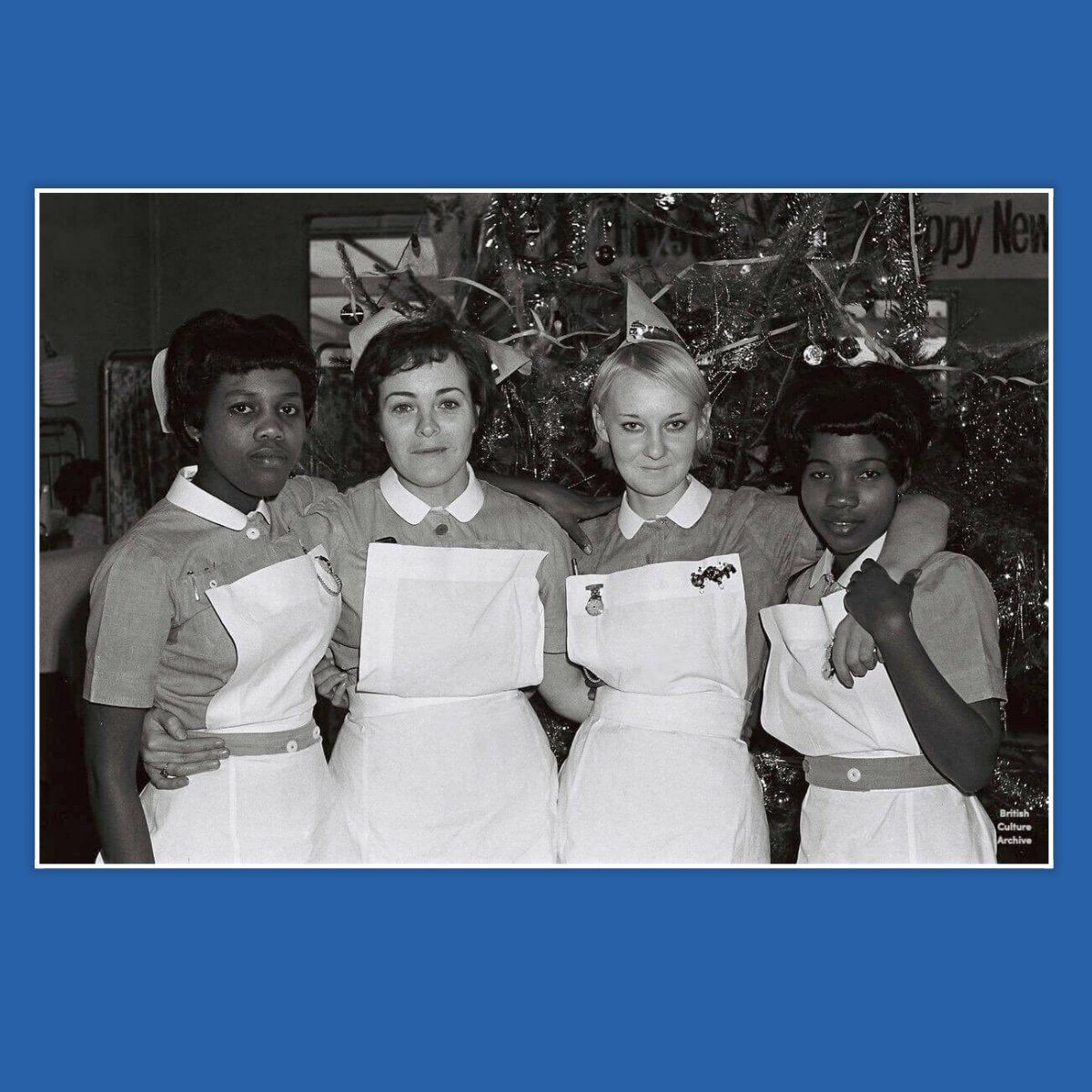 Mad Dogs Homeless Project tweet media