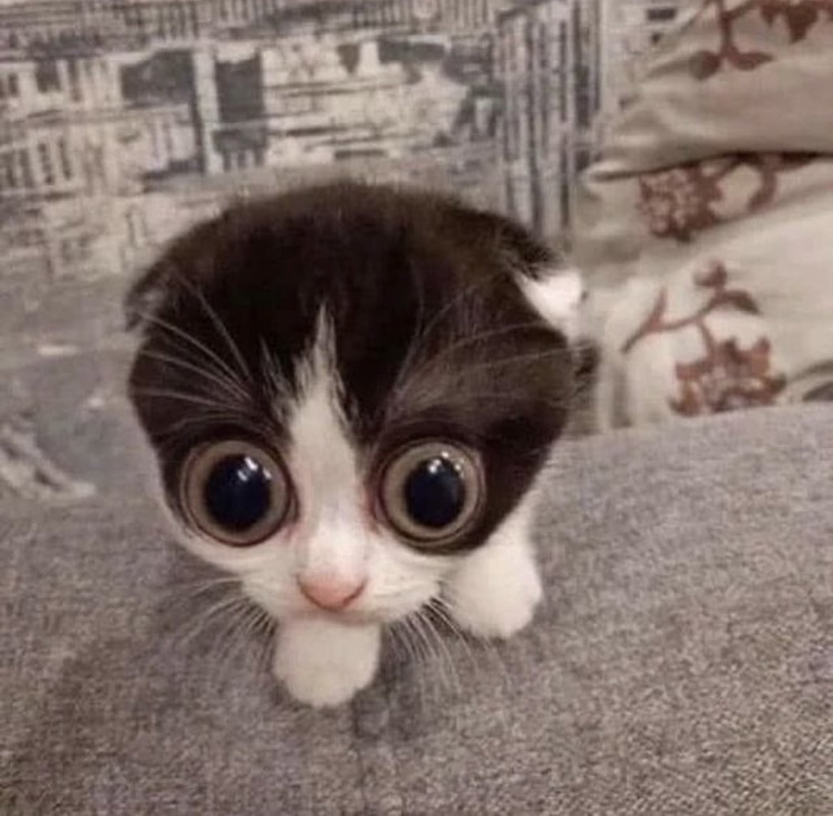 Genie Tempest tweet media