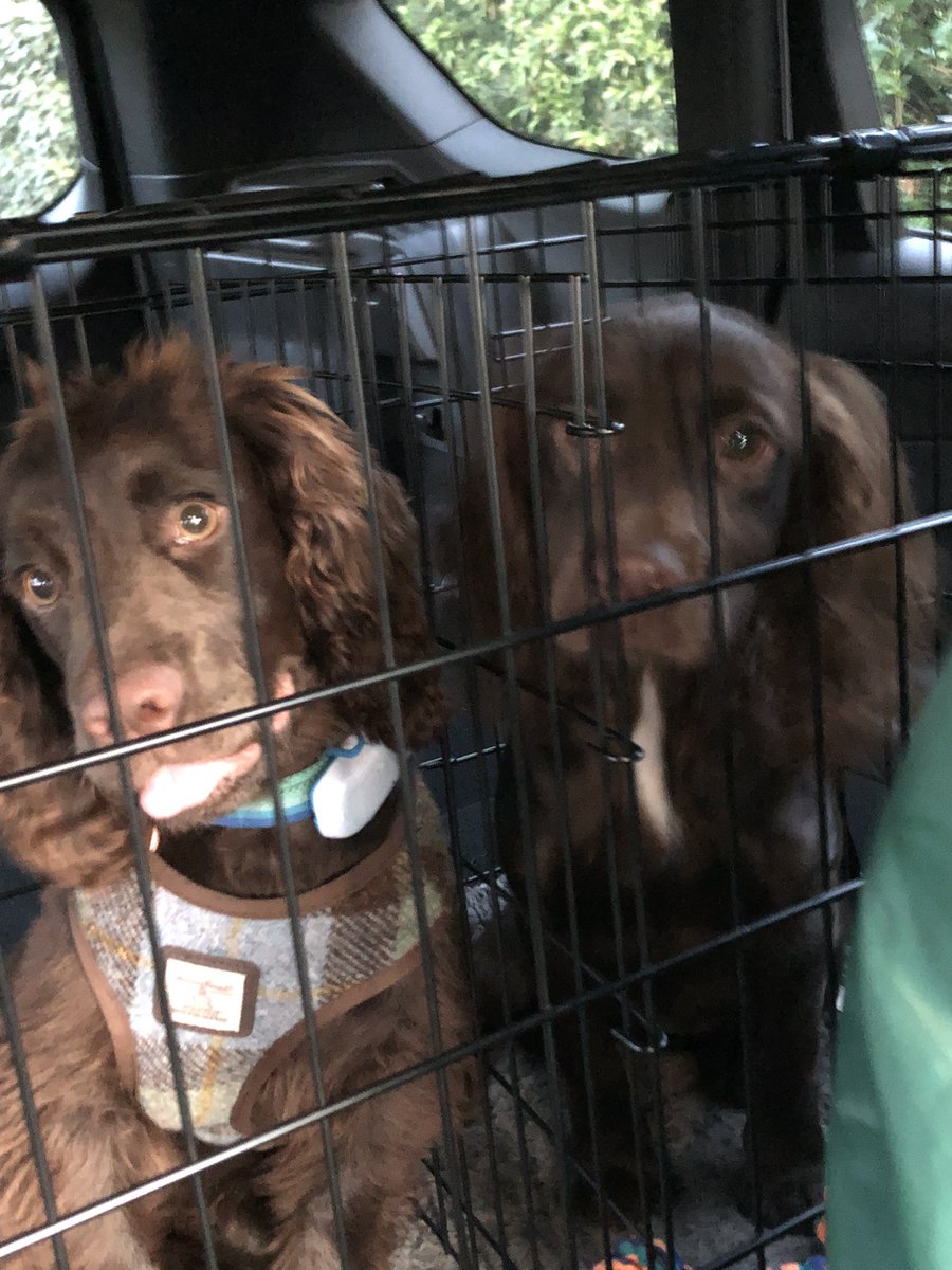 Purdey & Bramble & Jet OTRB 🌈 3/5/23 tweet media