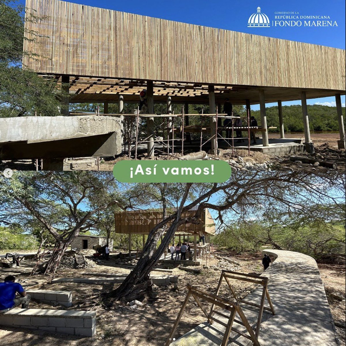 fondomarena's tweet photo. ¡El sueño se está haciendo realidad! 🌟🚧 Estamos emocionados de compartir con ustedes el apasionante proceso de construcción del centro de visitantes en Estero Hondo, junto a nuestros socios de cooperación internacional CBF.

#EsteroHondoManatíes #EsteroHondo #FondoMarena https://t.co/RGGYGkVG19