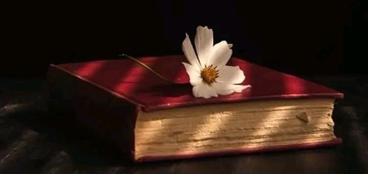 ...

الوجع دائما #أنيق "لا يختار ..
سوئ القلوب ..#الطيبة 🥀🦋🖤"

...