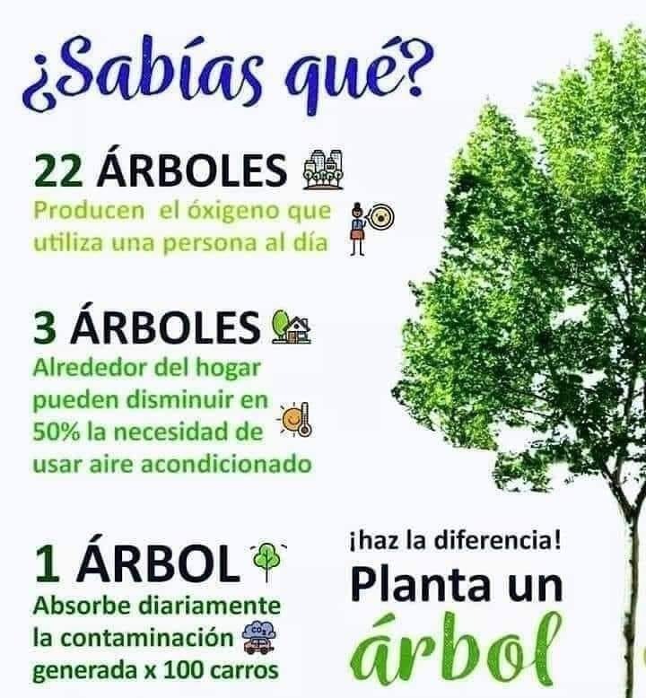 Hoy es un buen día para agradecerle a los árboles por todo lo que hacen 🌳 
Cuidar el entorno es cuidarnos a nosotros mismos, la forma en la que nos relacionamos con la naturaleza habla mucho de nosotros 🌱 

#PlantaUnArbol #AireLimpio #CambioClimatico