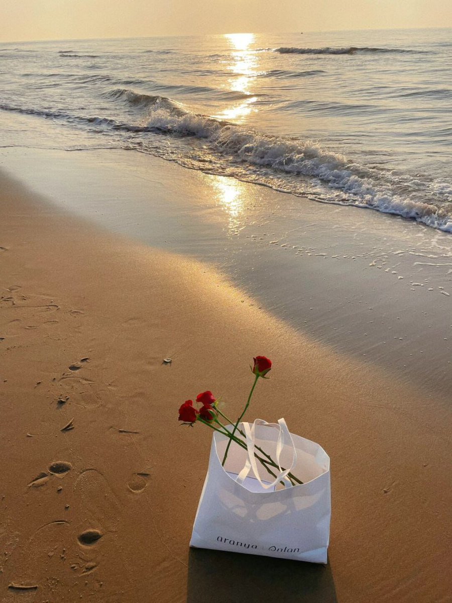 pirteya's tweet photo. play at the beach in free time https://t.co/UFZEdDU0bQ