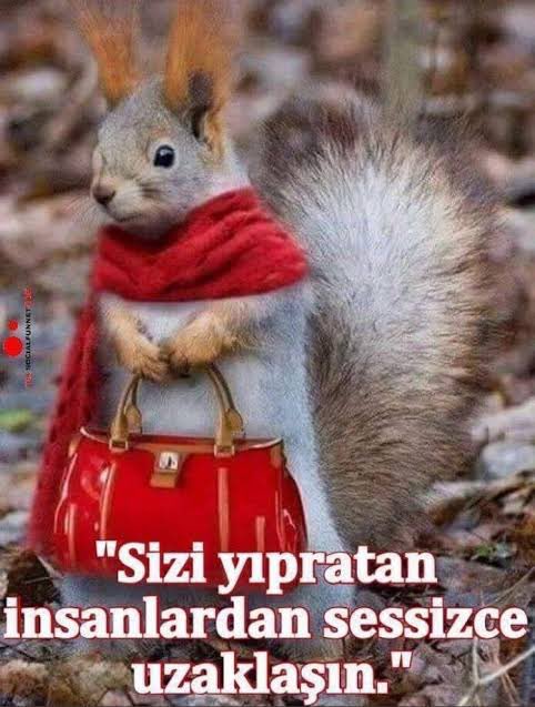 Bu cümle beni çok etkiledi🫠