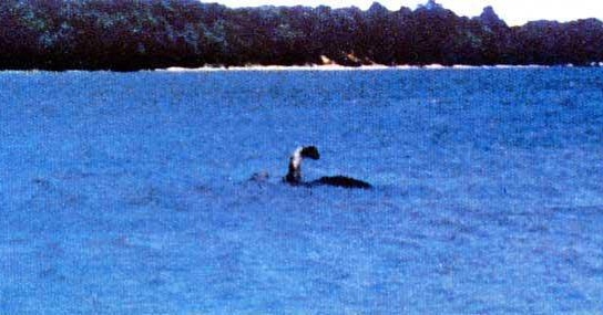 On This Day in 1977, Sandra Mansi was out with family on Lake Champlain when a Sea Serpent rose out of the water. As she grabbed her camera, she took two photos. The first one was blurred, and the second capture, is what we see today.