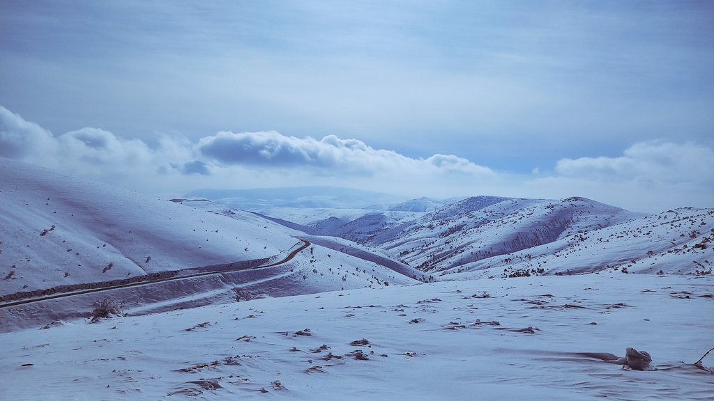 denizaryasu's tweet photo. Derdi bana verdin ama olsun ...canın sağ olsun .. https://t.co/Z64icshoWA