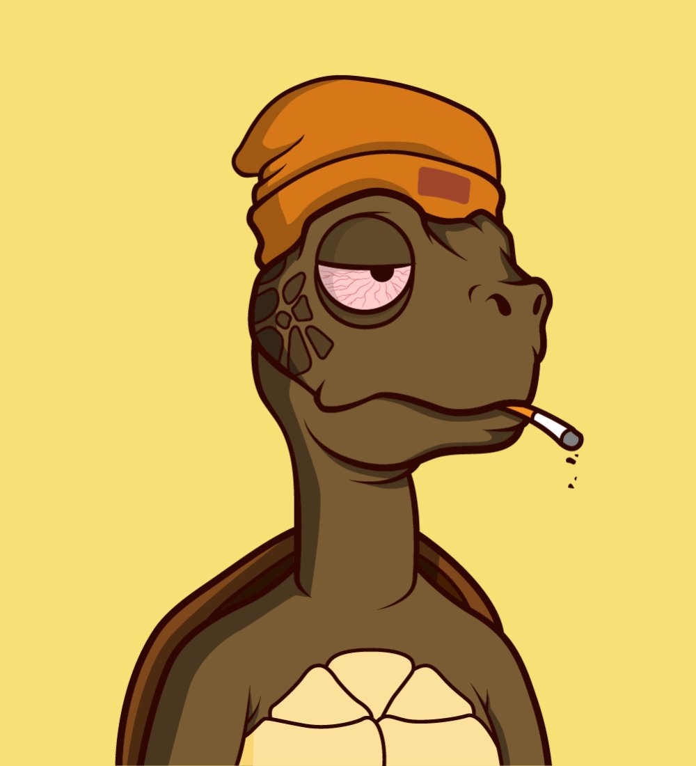 mammud_tez's tweet image. #tinyturtle 🐢💙