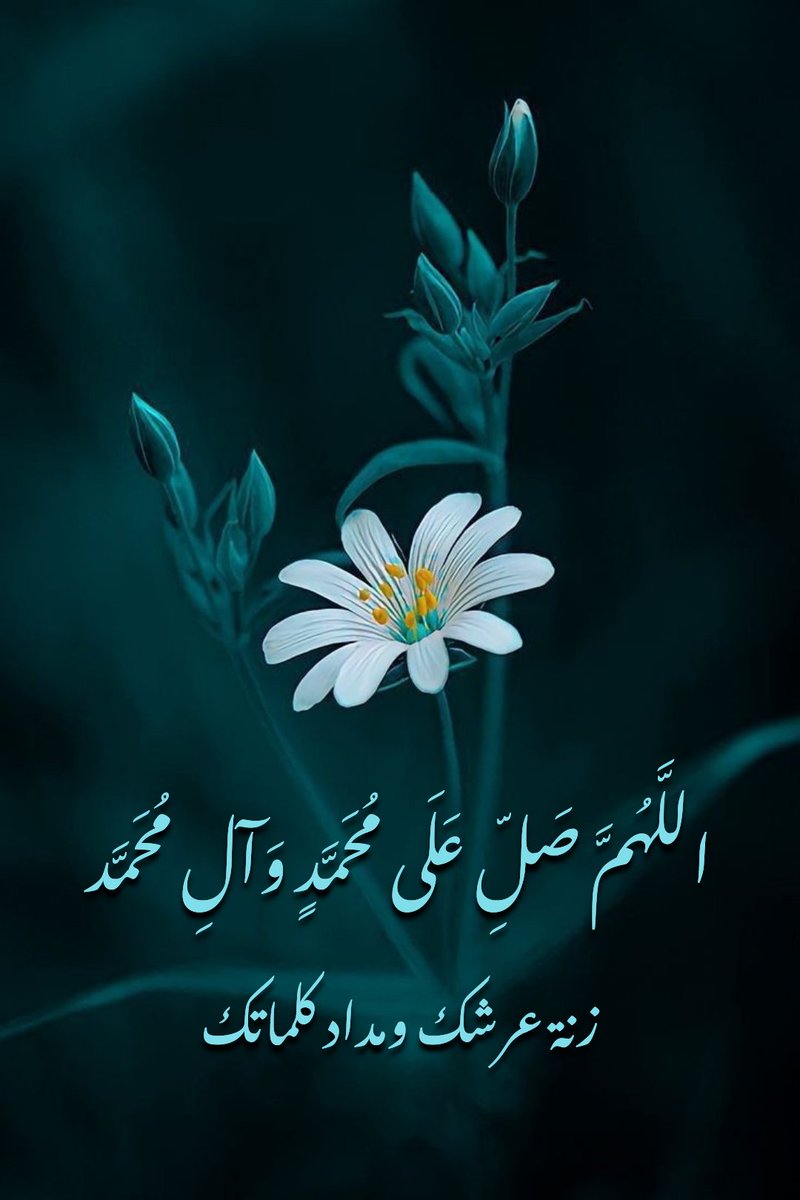 اللهم صلى على محمد وال محمدطيبين طاهرن وصحبه المنتجبين