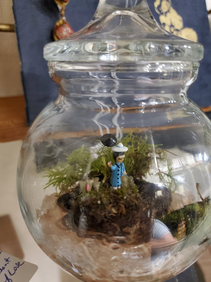 Madeline mossarium - complete with balloon.

#mossarium #madeline #plants #terrarium #quirkshop #littleworld #cute #seeyouatthefarm