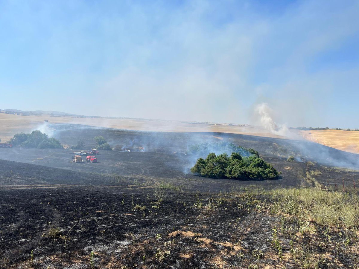 CALFIRELNU's tweet photo. #JuniorFire: CAL FIRE LNU and local agencies are at scene of an approximate 25-acre vegetation fire near the 23700 block of County Road 13 in Yolo County. The fire is burning in grass, but firefighters have stopped its forward progress. https://t.co/bnG5IPC4H4