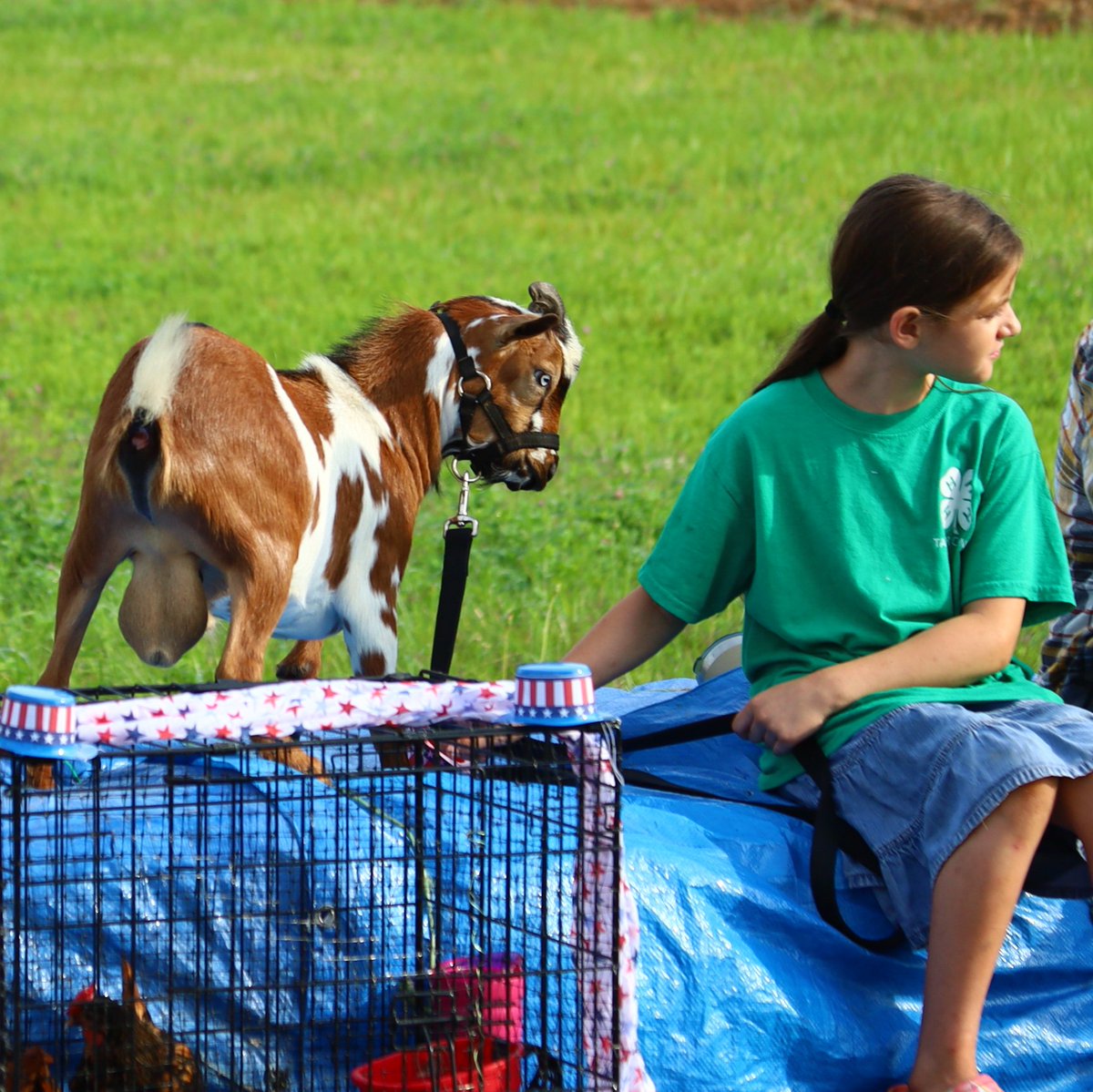 I'm just nuts for a good parade!