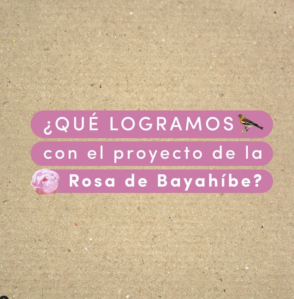 fondomarena's tweet photo. Desde el Fondo Nacional para el Medio Ambiente y Recursos Naturales (Fondo MARENA), estos han sido nuestros aportes para el reconocimiento de la Rosa de Bayahíbe, flor nacional de la República Dominicana. 🫶🏼🇩🇴

¡Y estamos finalizando la 1era guía para su reconocimiento! 🤩 https://t.co/jVhEBIg5KK