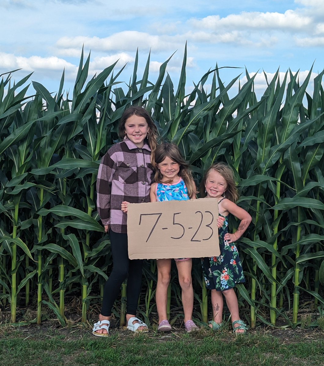 Bi-Annual corn picture
Emma 9
Charlotte 7
Hazel 5