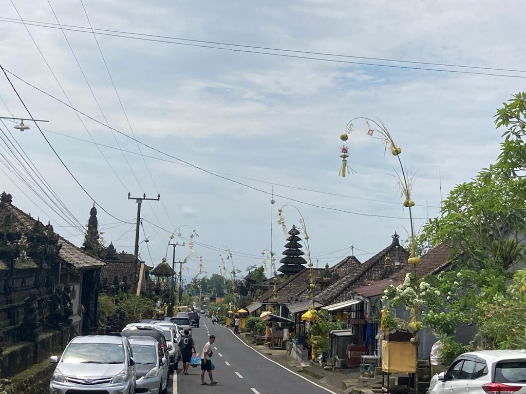 Vibrant Forest Landscapes tweet media