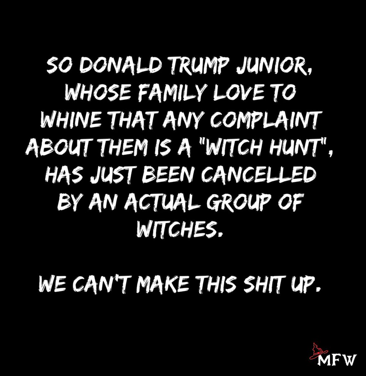 MFWitches's tweet image. There’s so much misinformation floating round about Donald Trump Jnr’s tour “postponement” that we want to add a few facts back in, witches.

Because most of the reasons given for Don not coming this week are wrong.

Firstly, Junior’s Visa was issued yesterday, so attempts to…