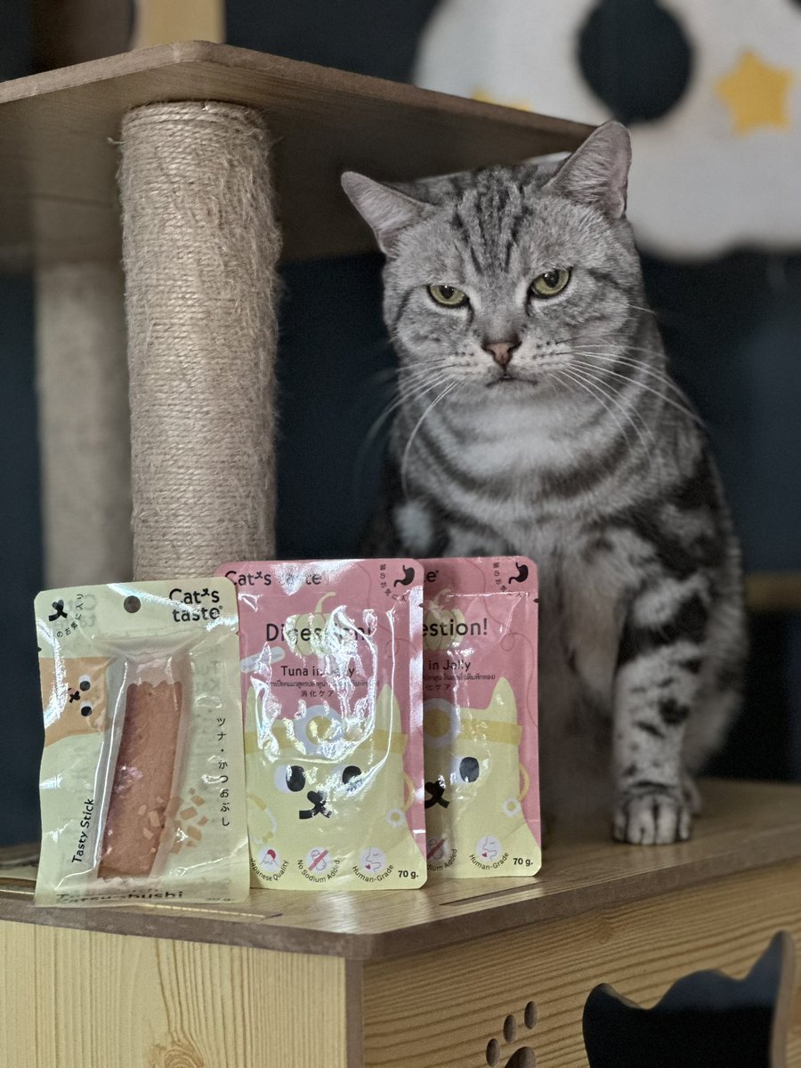 TodtyTodty30's tweet photo. ตึงกว่าท้องก็หน้านี่แหละ 😂
#Catstaste #Petcircle https://t.co/1DoxOs4y5S