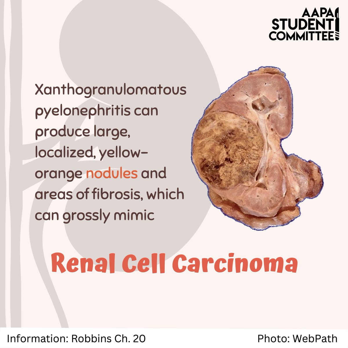 As promised, we have the answer to last
week's case study! Did you get it right? We hope this
was a fun one :) #PathTwitter