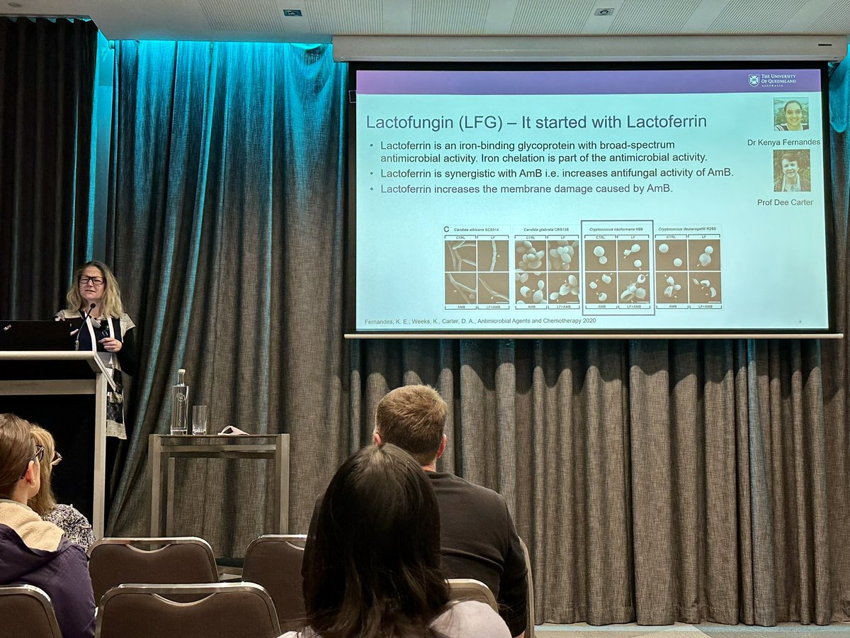 neil_gow's tweet image. Evelyne Deplazes - a fascinating story of amphotericin + lactofungin synergy as a mechanism of fungal membrane disruption and Antifungal therapy.   @AUSSOCMIC @DeplazesEvelyne #2023asm