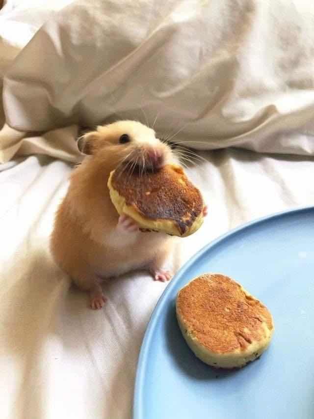 shxtou's tweet photo. My belly is so full of delicious food https://t.co/SI2HVUIt10