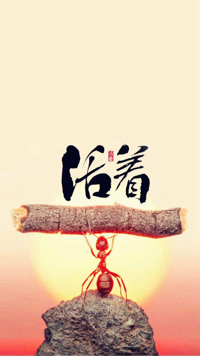 TDehiry's tweet photo. 人生從來沒有所謂的捷徑，想要安穩生活就要承受很多，不經歴風雨怎麽能看見彩虹，唯有努力奮鬥才能脫胎換骨。劫後重生，妳才會明白只能靠自己，沒人能幫扶。悠悠歲月，漫漫人生，歴經酸甜苦辣，唯願歲月安好。 https://t.co/TouRofgFh7