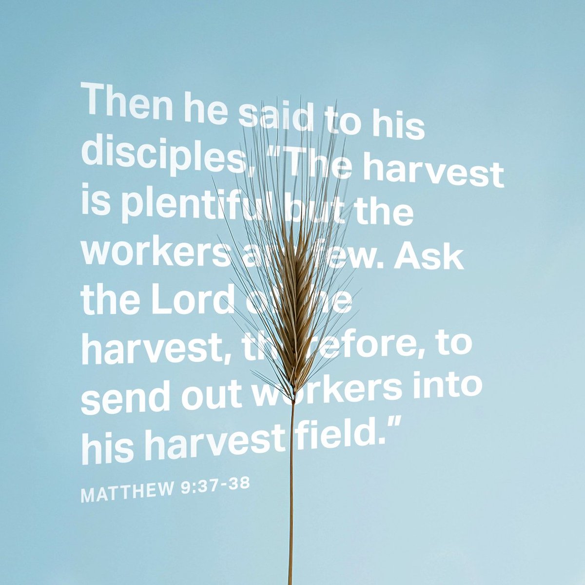 MAndersonEddins's tweet image. HE said to HIS disciples, #TheHarvestIsGreat, but the workers are few. So #PrayToTheLORD who is in charge of the harvest; #AskHIM to send #MoreWorkers into HIS fields.”
#Matthew9_37_38 NLT