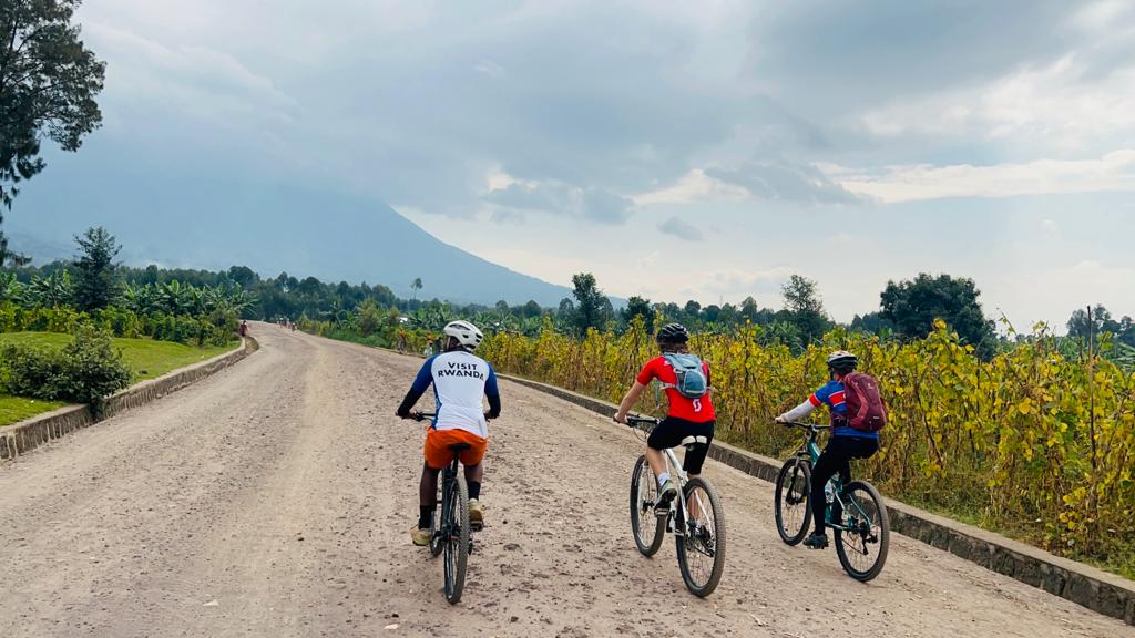Lava Bike Tours tweet media