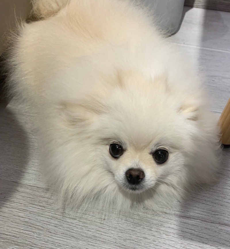 pengh0988's tweet photo. 🫰🏻最近的艳遇对象 都好美 https://t.co/3SBMfoB7SO