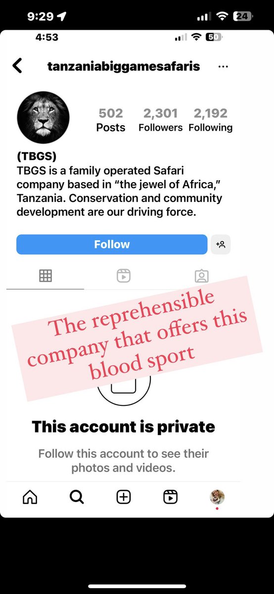 ClaudiaKuzniak's tweet image. There must be a special hell for trophy hunters. #ToxicMasculinity at its worst and the bobble head bimbos who accompany them  are examples of humanity at its worst. #stoptrophyhunting