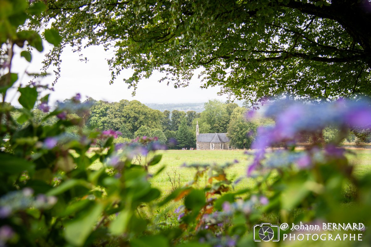 bernard29440's tweet photo. #Bretagne #finistere

une #chapelle dans un écrin de verdure... vous savez ou elle se trouve?

#quizz #cestfacile https://t.co/pIIRQ70sP9