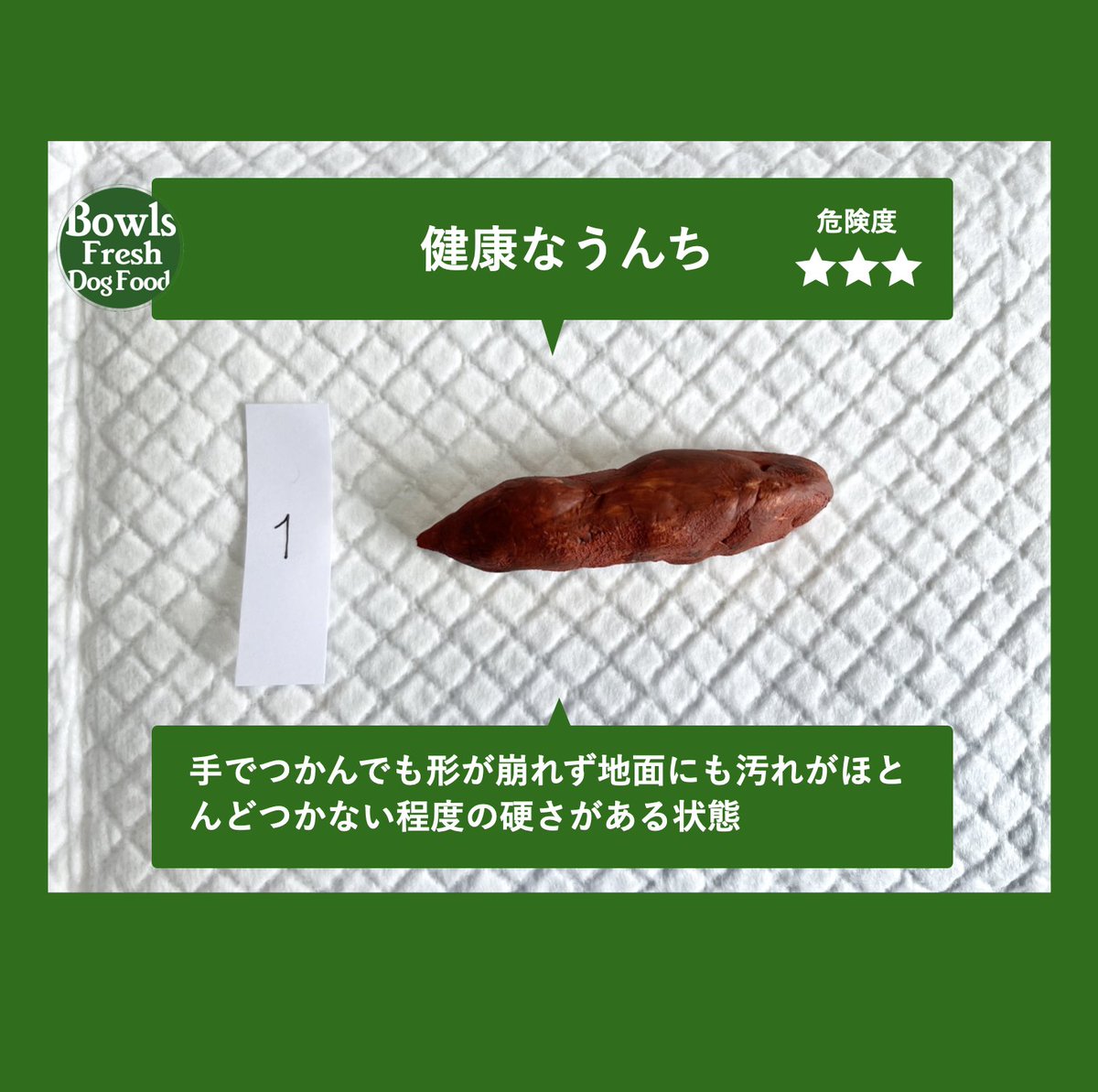 うんちよ様 ご確認ページ 保存版うんちチェックのポイントVol.1 （1/7） ほぼ毎日のように見る