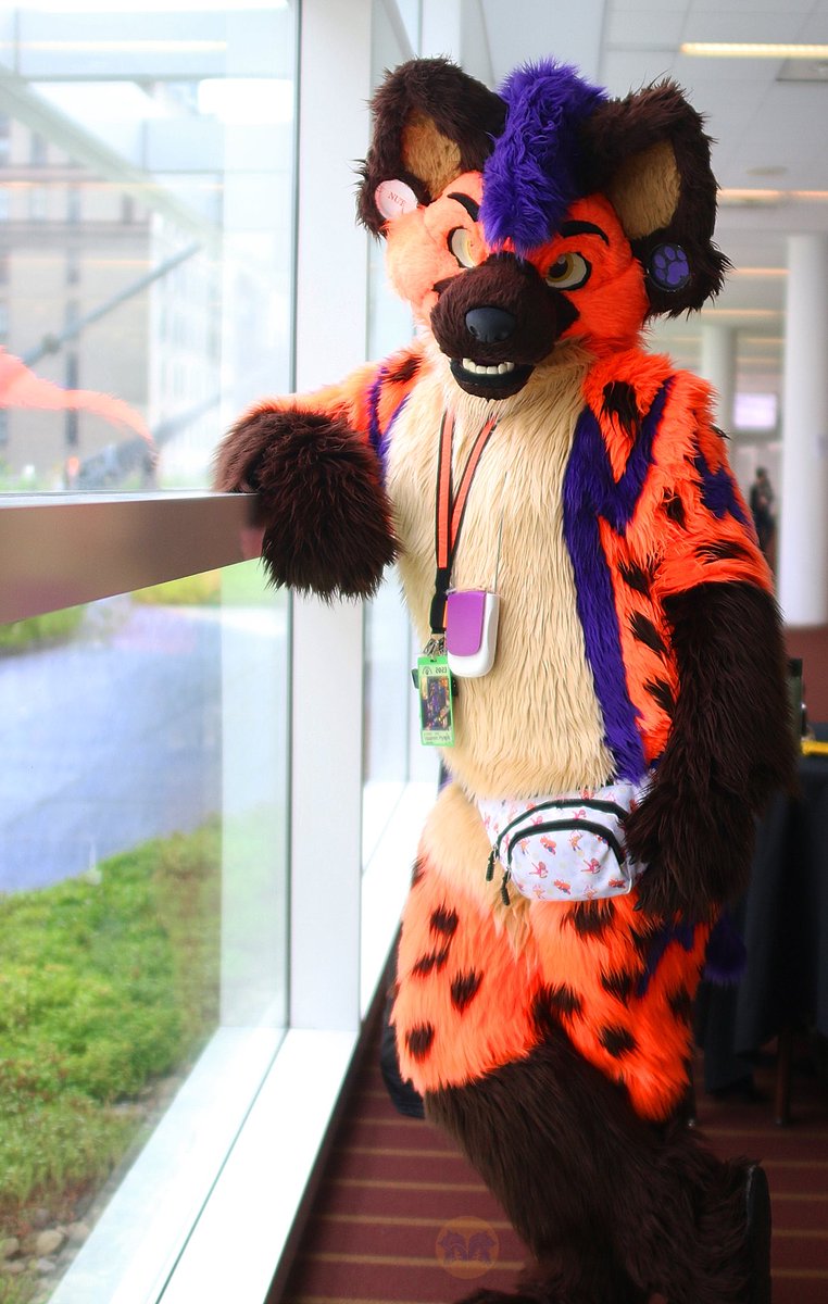 MawfulMenagerie (@mawfulmenagerie) on Twitter photo <a href="/Vaalrein_Hyena/">⚡️Vaalrein Hyena⚠️</a> showing us how to model #fursuit #furry #fursuiter #anthrocon2023 #anthrocon #ac23 <a href="/Vaalrein_Hyena/">⚡️Vaalrein Hyena⚠️</a> showing us how to model #fursuit #furry #fursuiter #anthrocon2023 #anthrocon #ac23