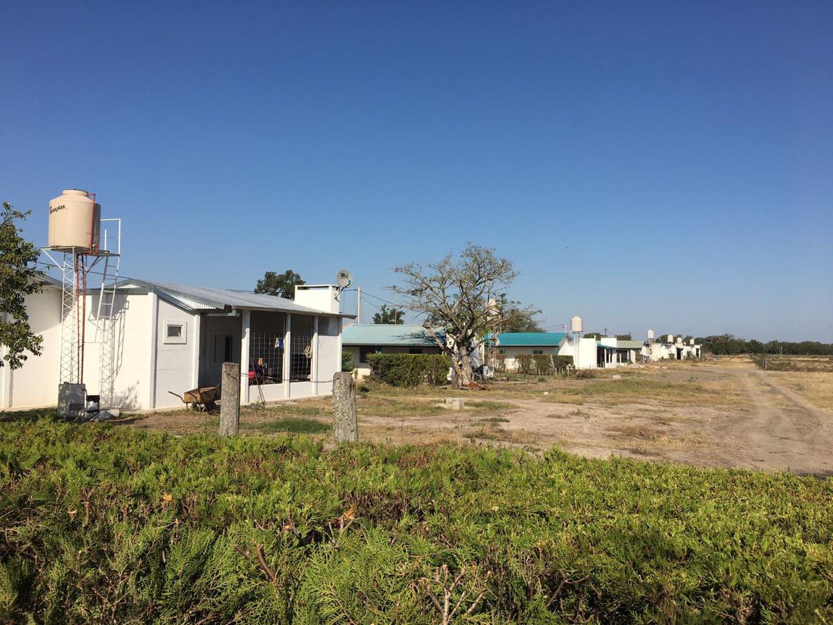 GBatistutaOK's tweet photo. ESTAS SON LAS 35 CASAS PARA USO DE NUESTRO PERSONAL RURAL  Y SUS FAMILIARES , CONSTRUIMOS  UNA CASA POR AÑO , SE INVIRTIÓ EN LA ESCUELA CAMINOS ENERGIA ELÉCTRICA Y PANTALLAS SOLARES .NUESTROS TRABAJADORES SE ENROLAN CONFORME A DERECHO DE LA LCT Y DEL ESTATUTO DEL PEÓN RURAL. https://t.co/NYGf4qlSeP