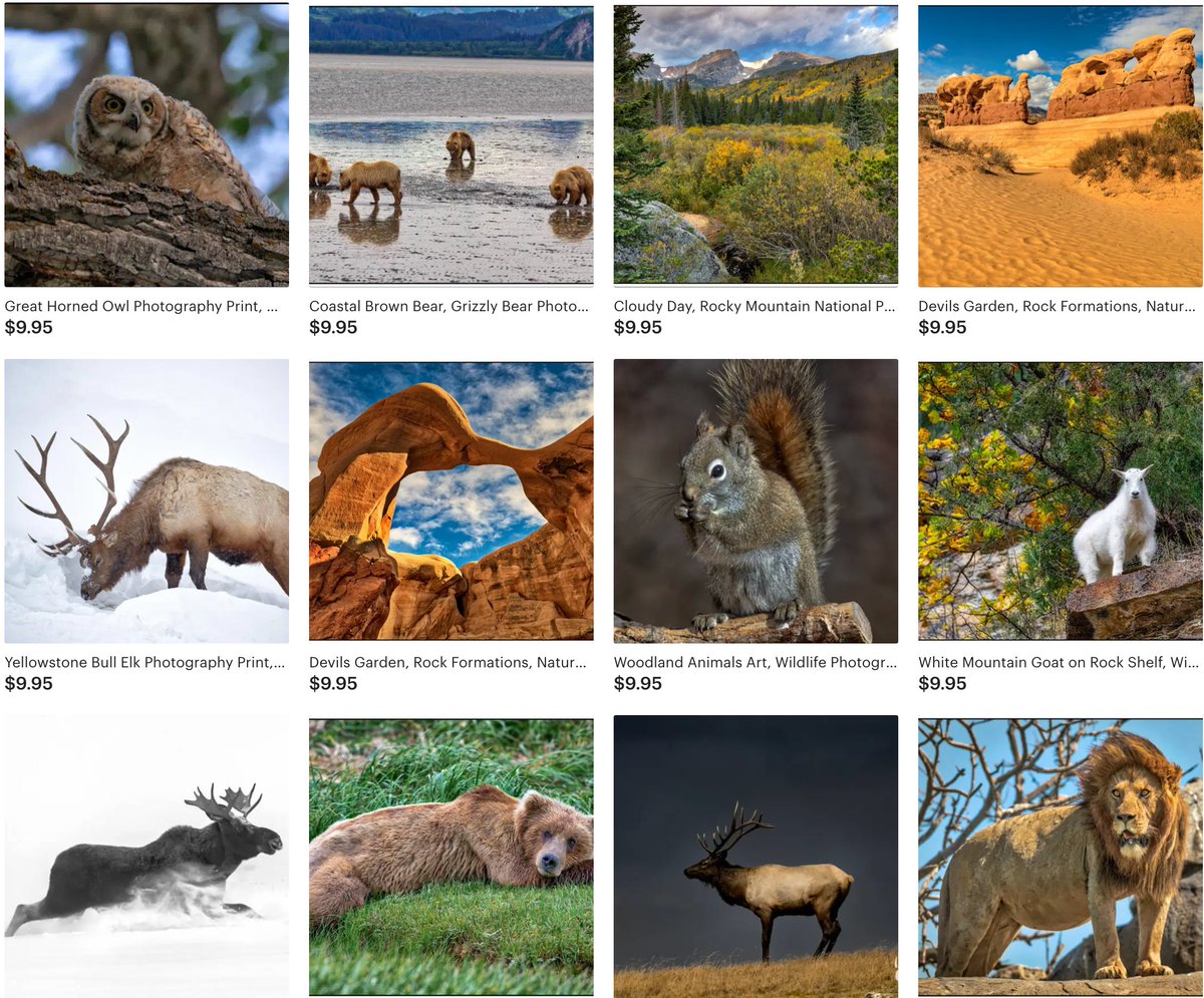 RobsWildlife's tweet photo. #Utah #UtahAnimals #UtahLandscape #UtahPhotography
https://t.co/O0Y5bx3jzk https://t.co/qpJTkzlPyb