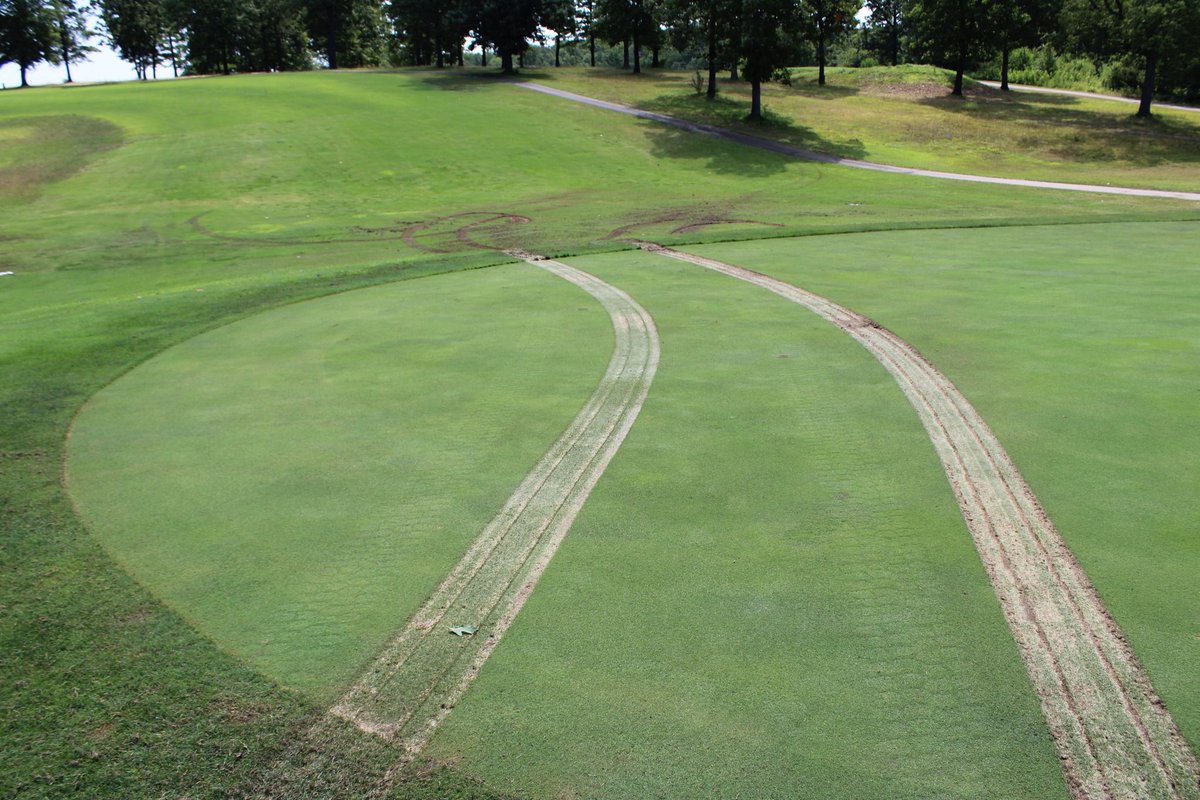 Western Mass News tweet media