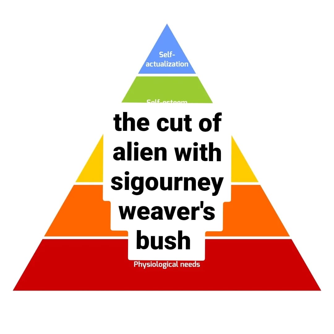 hollie camelbucks.bsky.social (@harshnoisestan) on Twitter photo 