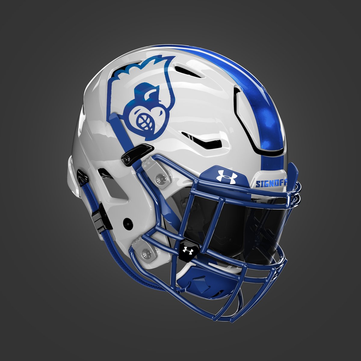 Missouri Helmet Project tweet media