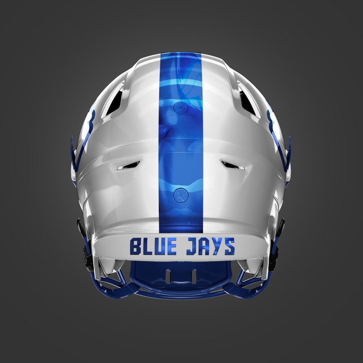 Missouri Helmet Project tweet media