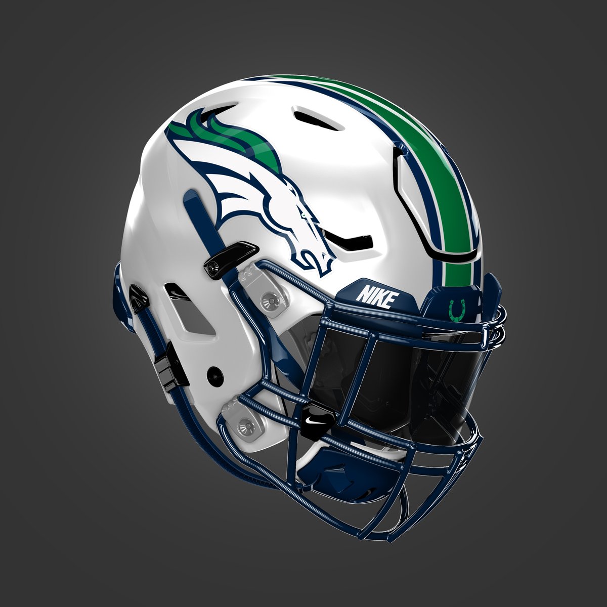 Missouri Helmet Project tweet media