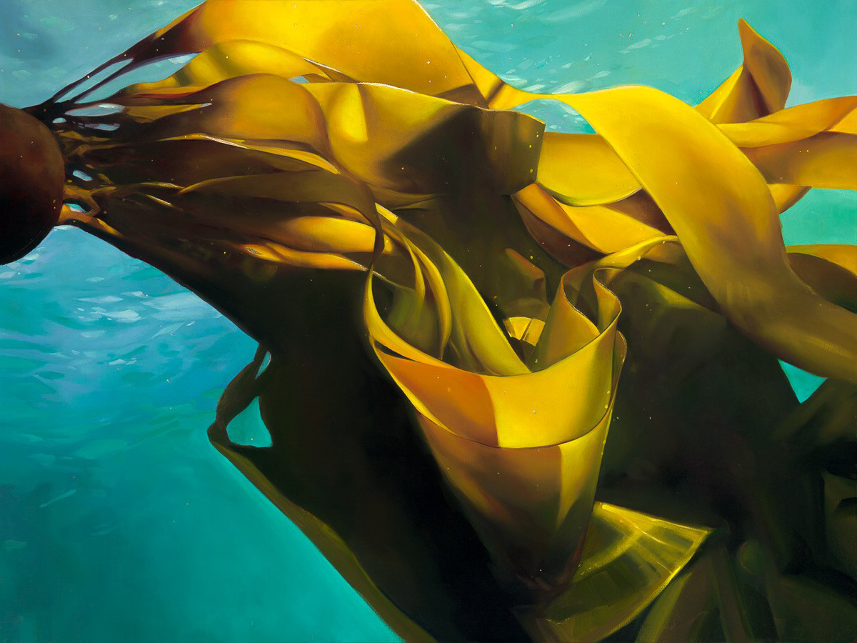 😱 No, this isn't a photograph—it's an oil painting by SAM Gallery's newest artist Jasmine Novack! A self-taught painter, Jasmine derives artistic inspiration from her 16 years of experience as a cold diver throughout the Pacific Northwest. bit.ly/SAMJasmineNova…