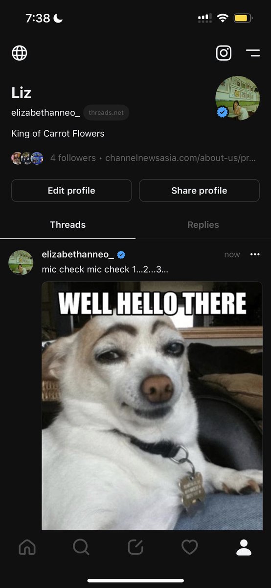 You can find me on Threads 
threads.net/@elizabethanne…