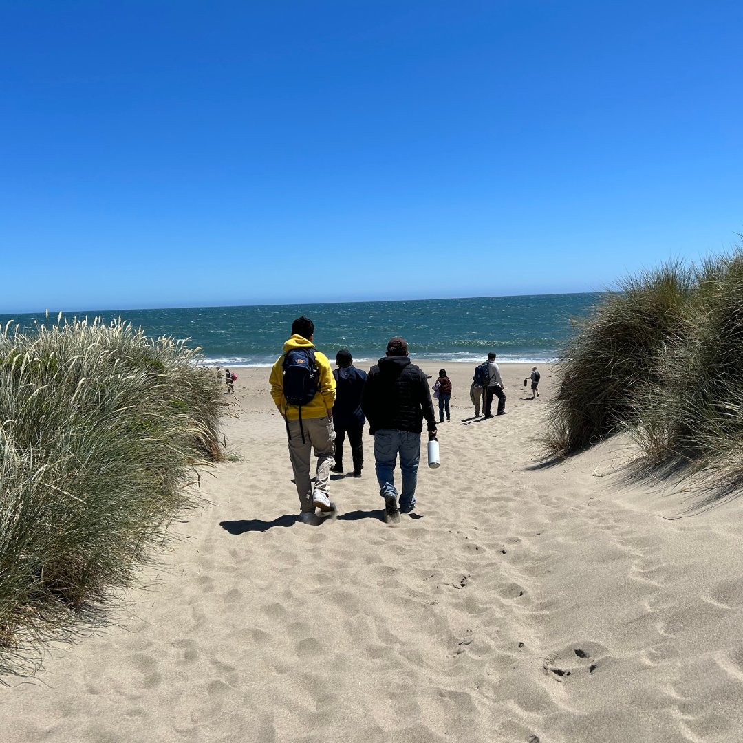 canalalliance's tweet image. Our UP! students recently explored Pt. Reyes! 🌳 From hiking to camping, we&apos;re closing the &apos;nature gap&apos; one adventure at a time. Can&apos;t wait for more outdoor exploration in Marin County! #NatureForAll