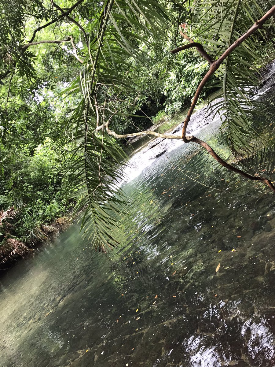 luamado23's tweet photo. Quiero volver!
#postfinde🫶🏻 https://t.co/5QIYhl8h9Y