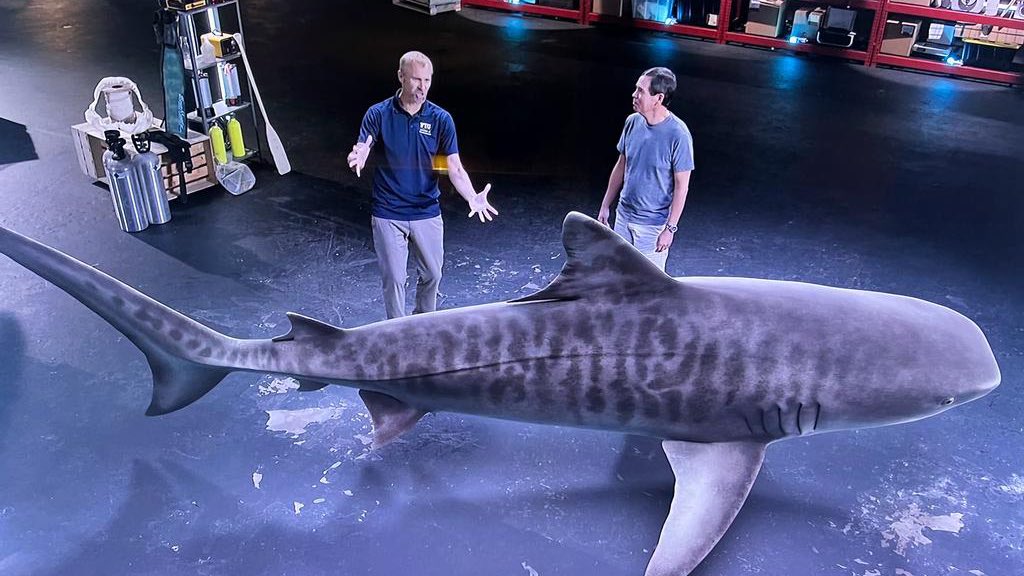 Enjoying tonight’s @NatGeoTV #Sharkfest! It was fun working w/ Dr. Steve Kajiura on When Sharks Attack 360! Can’t wait to see @GregSkomal and @MegalodonWinton next. And join @fiu @nffarabaugh and me at 10/9C for Sharkcano: Hawaii! 🌋🦈 @FIUCASE