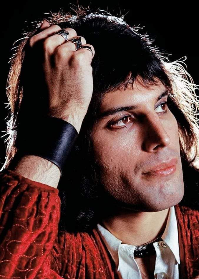 PatlovesFreddie's tweet photo. Our unique PersianPrince 🖤 https://t.co/7tkJACd8cz