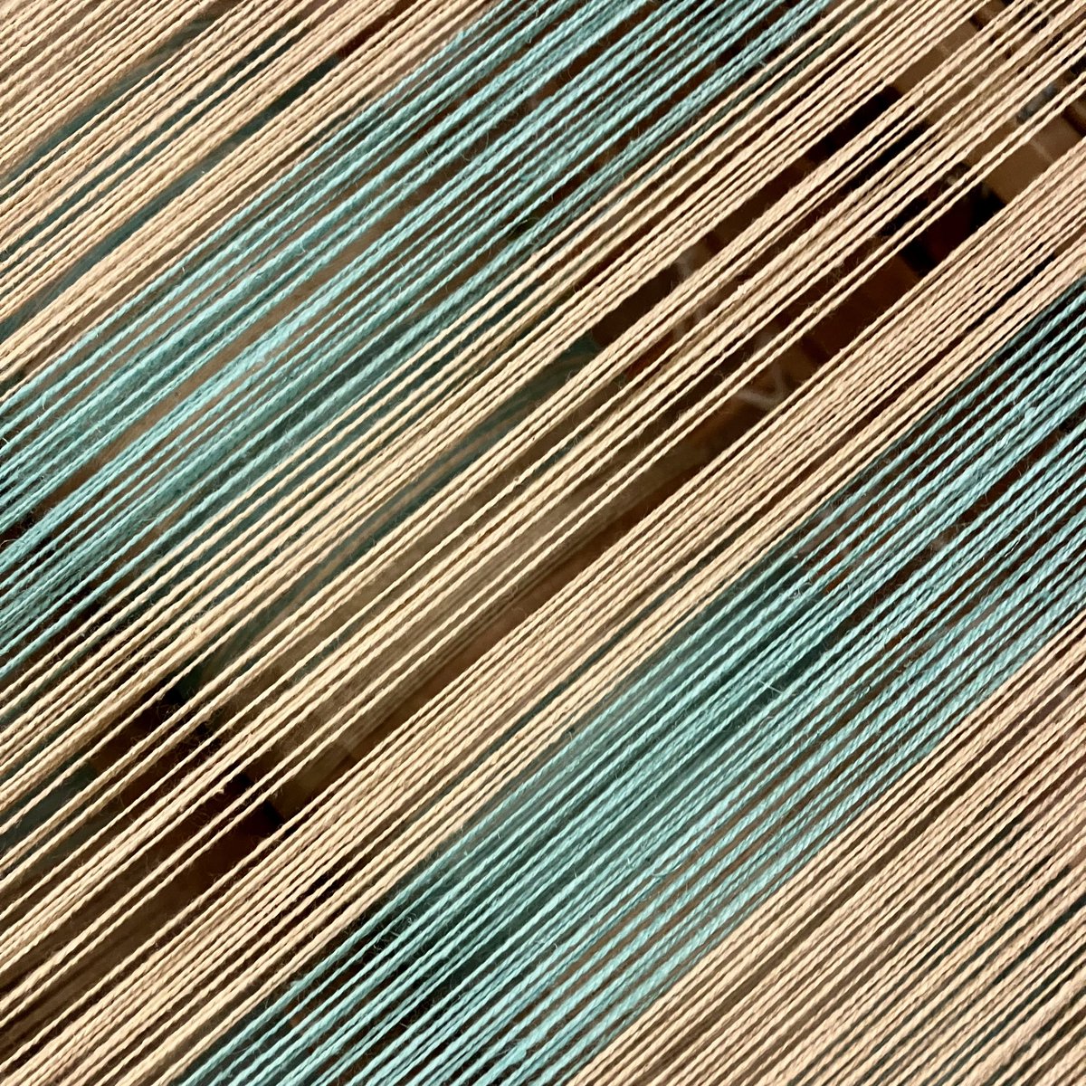 Bill Lyon tweet media