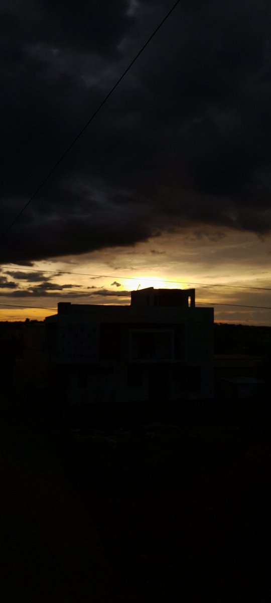 Pari Rani Presents 💛💙(ETH/Polygon/TZ) tweet media