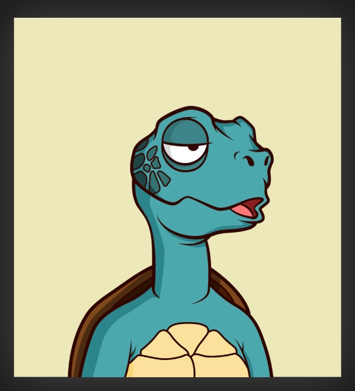 0xPhuton's tweet image. #tinyturtle