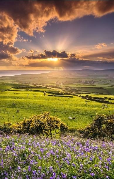 🌞
Good morning dear friends 

#nature #photography