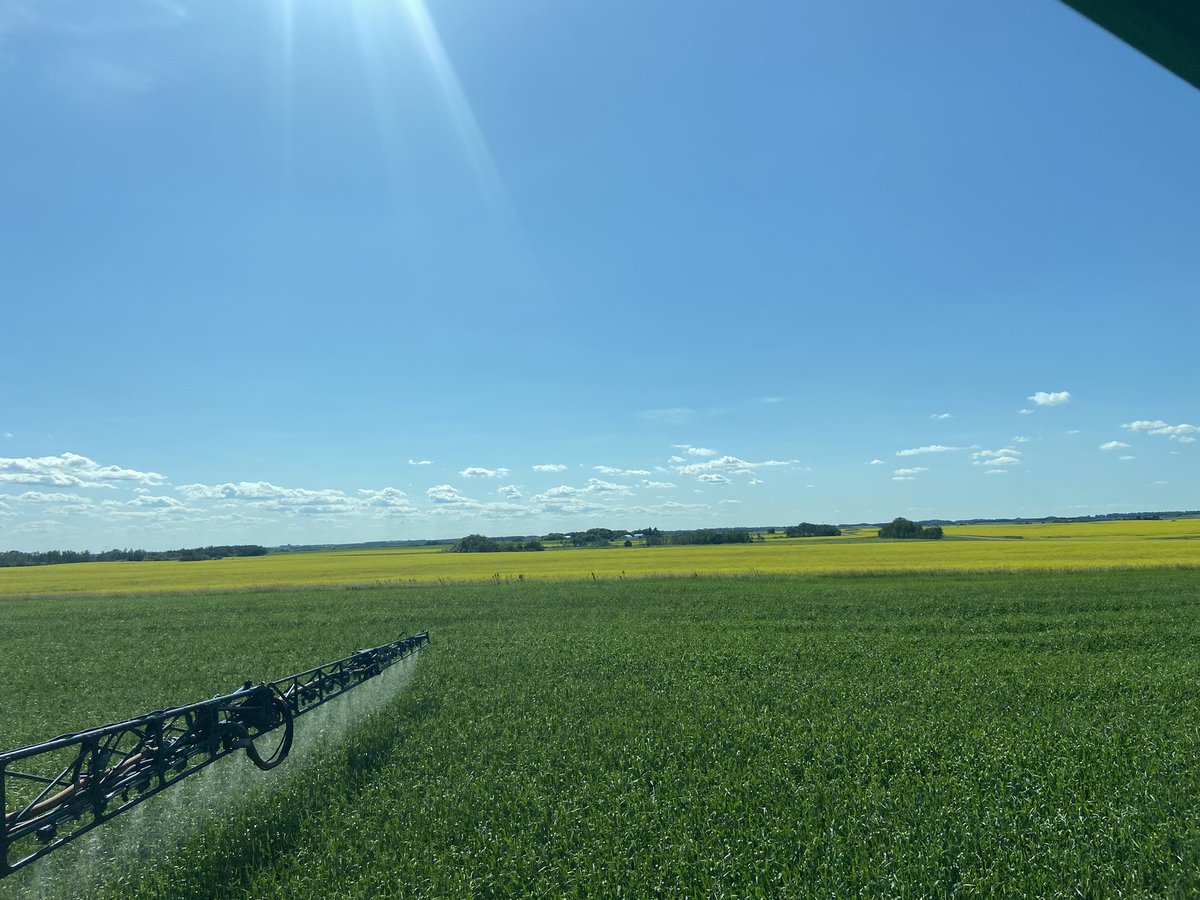 Office view 👌🏻 #Saskatchewan #SaskAg