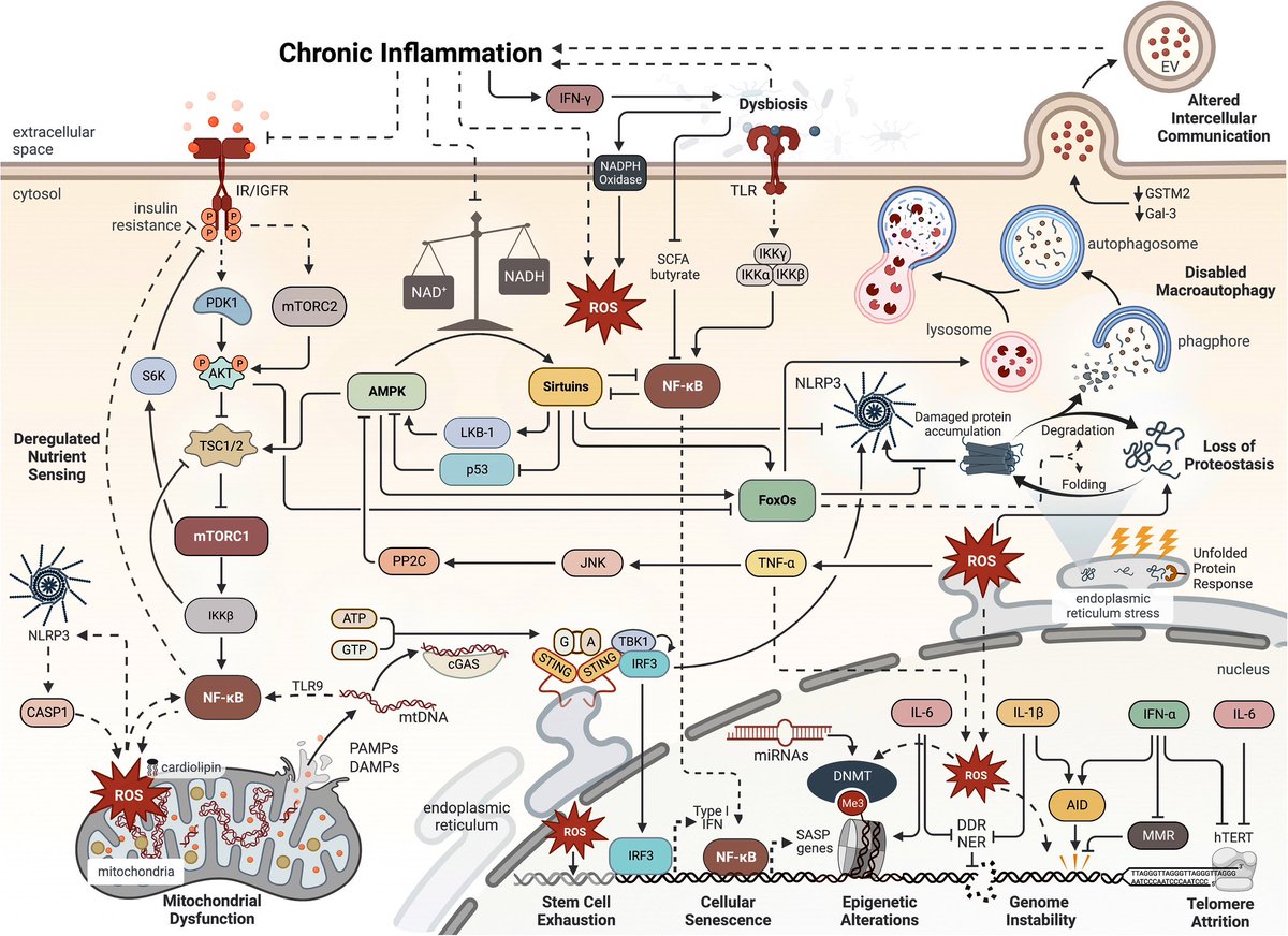 Jordan Baechle tweet media